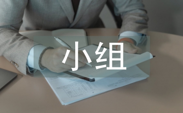 小組社會實踐總結