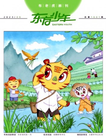 東方少年·布老虎畫刊