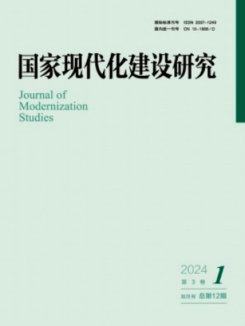 國(guó)家現(xiàn)代化建設(shè)研究